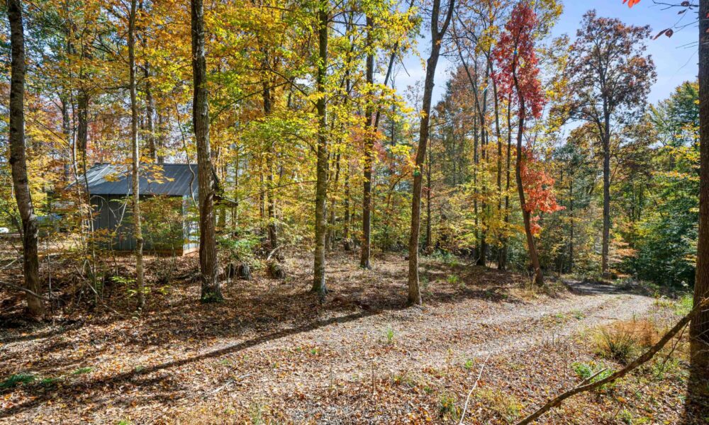99999-Badger-Trail-Weaverville-NC-28787-01-for web1