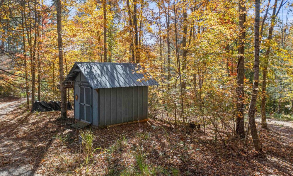 99999-Badger-Trail-Weaverville-NC-28787-03-for web 3
