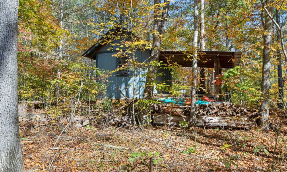 99999-Badger-Trail-Weaverville-NC-28787-06-forweb6