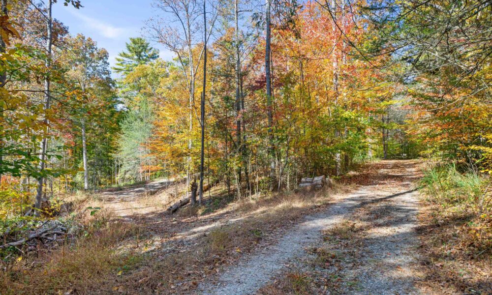 99999-Badger-Trail-Weaverville-NC-28787-10-forweb10