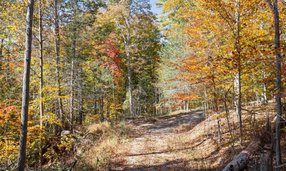 99999-Badger-Trail-Weaverville-NC-28787-12-forweb12