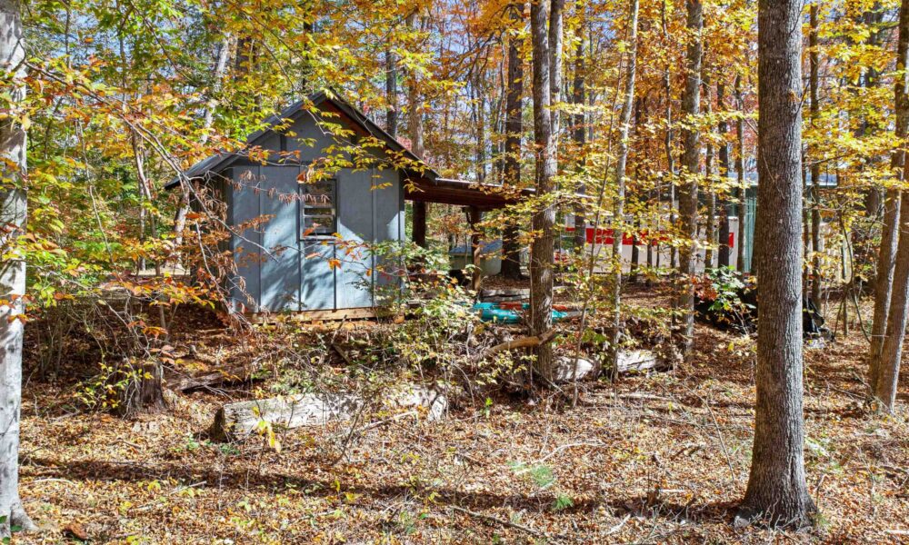 99999-Badger-Trail-Weaverville-NC-28787-15-forweb15
