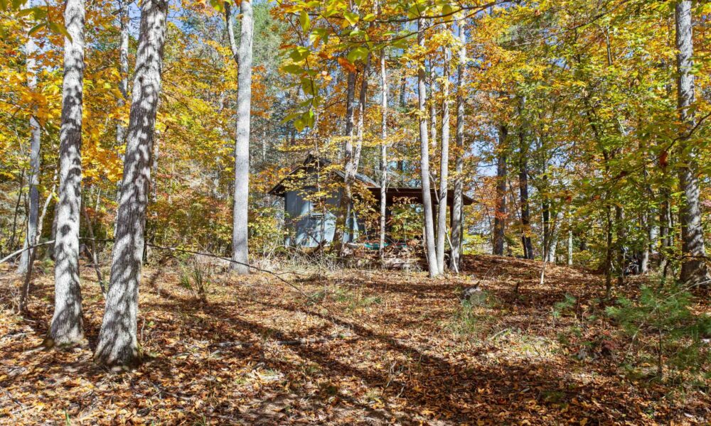 99999-Badger-Trail-Weaverville-NC-28787-16-forweb16