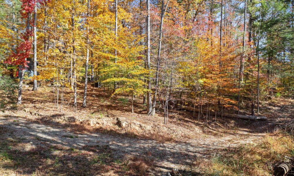 99999-Badger-Trail-Weaverville-NC-28787-18-forweb18