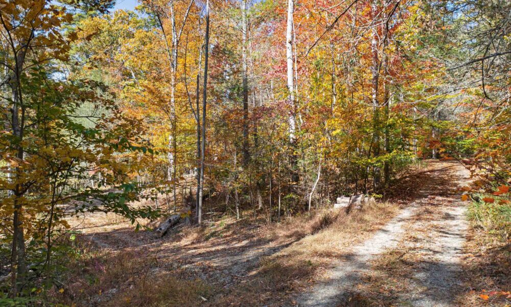 99999-Badger-Trail-Weaverville-NC-28787-19-forweb19