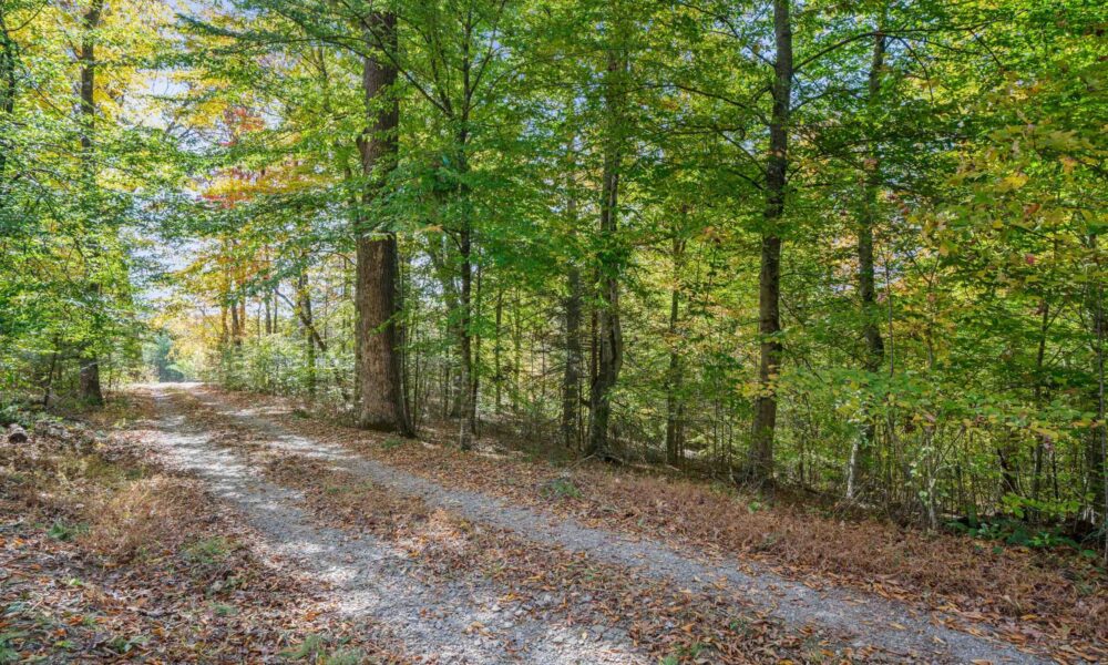 99999-Badger-Trail-Weaverville-NC-28787-20-forweb20