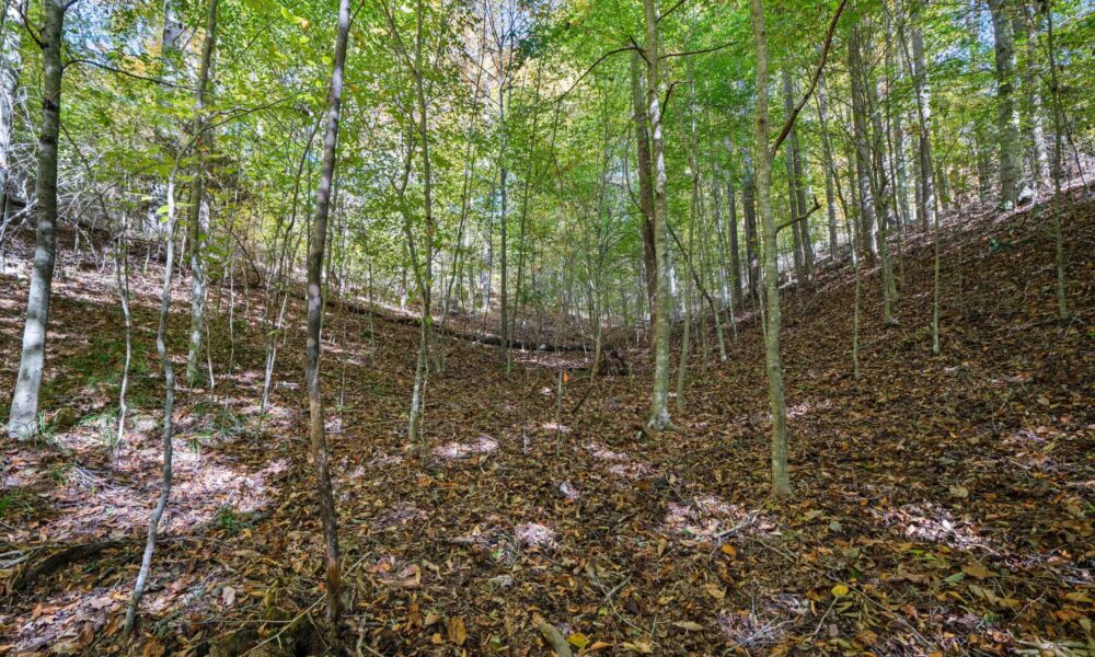 99999-Badger-Trail-Weaverville-NC-28787-24-forweb24