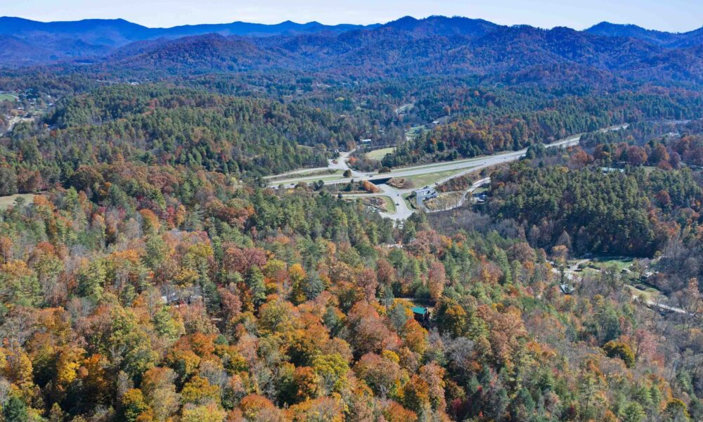 99999-Badger-Trail-Weaverville-NC-28787-27-forweb27