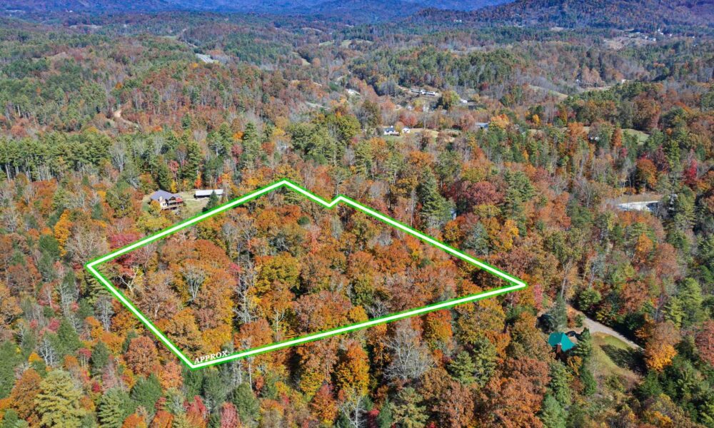 99999-Badger-Trail-Weaverville-NC-28787-29-forweb29
