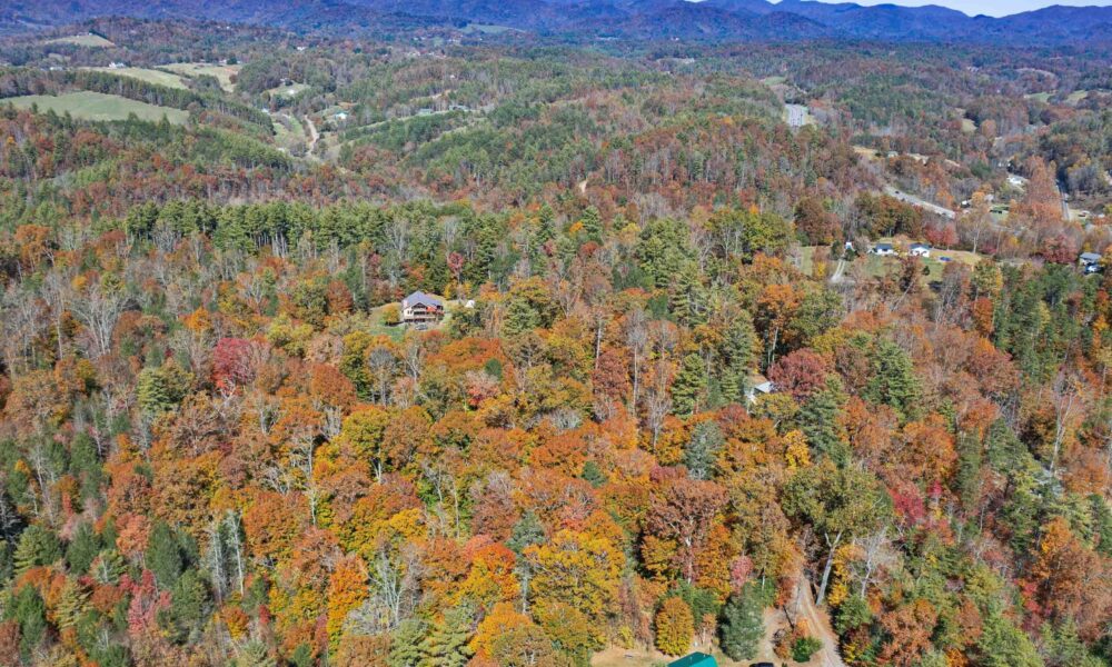 99999-Badger-Trail-Weaverville-NC-28787-30-forweb30