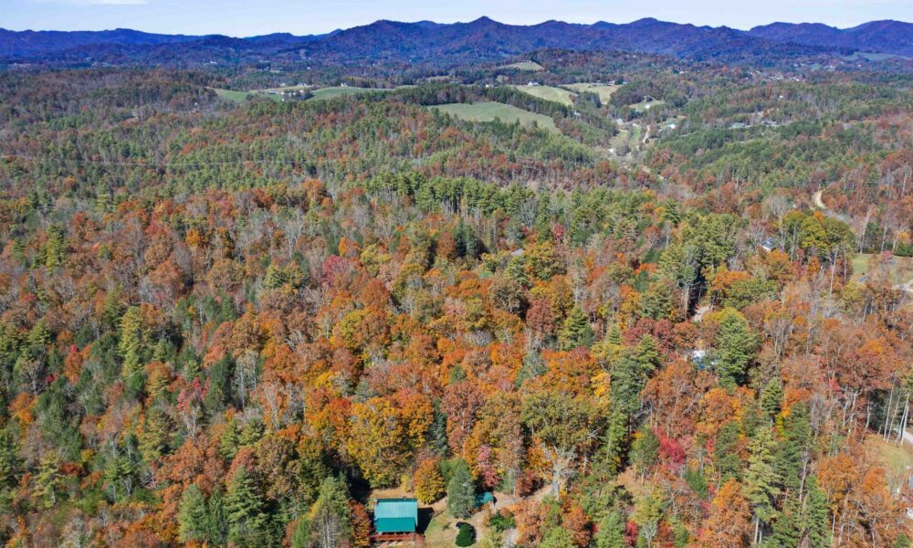 99999-Badger-Trail-Weaverville-NC-28787-31-forweb31