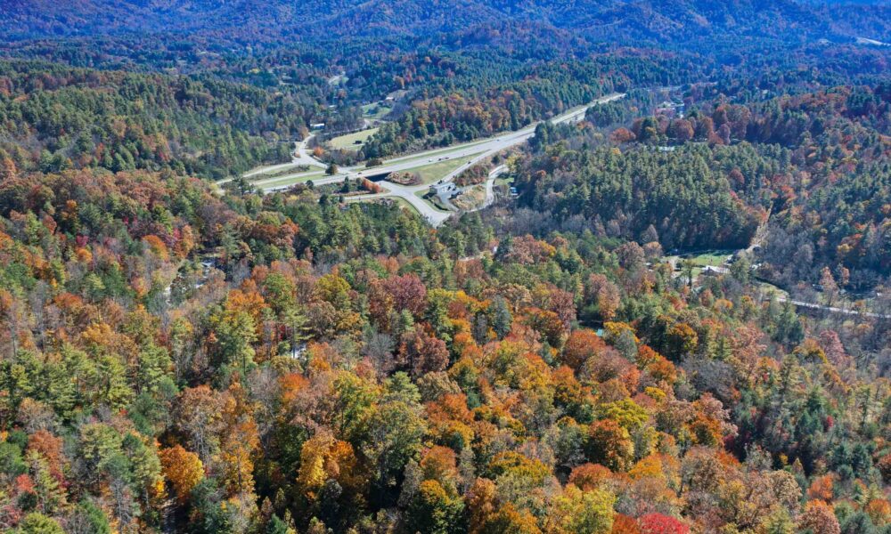 99999-Badger-Trail-Weaverville-NC-28787-34-forweb34